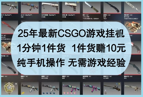 25年最新CSGO游戏挂G,1分钟1件货,1件货挣10元,纯手机操作,无需游戏经验【揭秘】-阳知网创资源库
