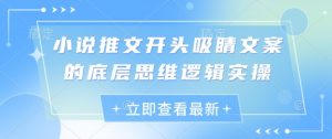 小说推文开头吸睛文案的底层思维逻辑实操-阳知网创资源库
