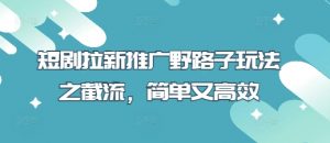 短剧拉新推广野路子玩法之截流,简单又高效-阳知网创资源库