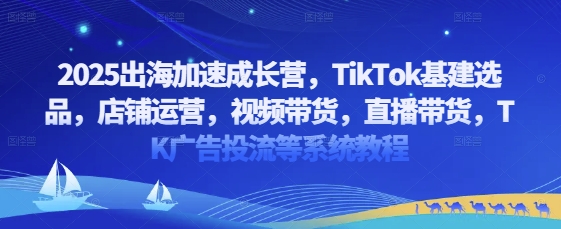 2025出海加速成长营，TikTok基建选品，店铺运营，视频带货，直播带货，TK广告投流等系统教程-阳知网创资源库