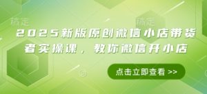 2025新版原创微信小店带货者实操课，教你微信开小店-阳知网创资源库