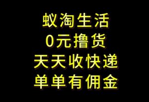 拼夕夕搬砖+快递回收,低门槛人人可做,实测月入1500+团队收益无上限【揭秘】-阳知网创资源库