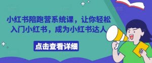 小红书陪跑营系统课,让你轻松入门小红书,成为小红书达人-阳知网创资源库
