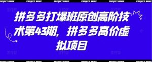拼多多打爆班原创高阶技术第43期,拼多多高价虚拟项目-阳知网创资源库