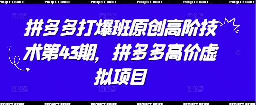 拼多多打爆班原创高阶技术第43期,拼多多高价虚拟项目-阳知网创资源库