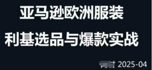 跨境电商选品案例24-25年，聚焦跨境电商选品策略与运营优化，助力卖家挖掘蓝海市场-阳知网创资源库