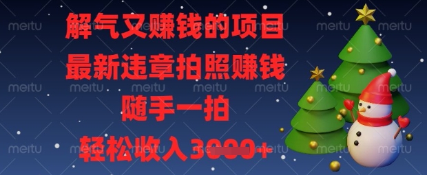 解气又挣钱的项目,最新违章拍照挣钱,随手一拍,轻松收入数张【揭秘】-阳知网创资源库