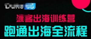 出海训练营基础课,跑通出海全流程,实战案例拆解-阳知网创资源库