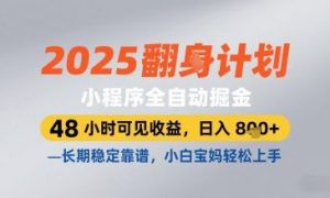 2025小程序全自动掘金,48 小时可见收益,日入8张,长期稳定靠谱,小白宝妈轻松上手【揭秘】-阳知网创资源库