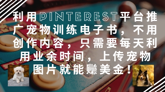 利用Pinterest平台推广宠物训练电子书,不用创作内容,只需要每天利用业余时间,上传宠物图片就能挣美金!-阳知网创资源库