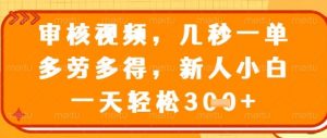 视频审核员，几秒一单，不限时间，不限地点，多做多得，新人小白一天轻松几张+【揭秘】-阳知网创资源库