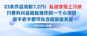 抖音私域项目23条作品涨粉7.2W，私域变现1W-阳知网创资源库
