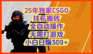 25年独家CSGO挂G搬砖，全自动操作，无需打游戏，小白日入3张+【揭秘】-阳知网创资源库