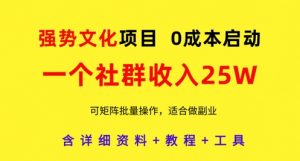 强势文化项目,一个社群收入25个W,0成本启动,可矩阵批量操作,原创详细实操教程-阳知网创资源库