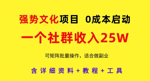 强势文化项目,一个社群收入25个W,0成本启动,可矩阵批量操作,原创详细实操教程-阳知网创资源库