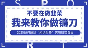 韭菜生涯终结者,我来教你做镰刀,2025如何通过“知识付费”实现财F自由【揭秘】-阳知网创资源库
