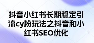 抖音小红书长期稳定引流cy粉玩法之抖音和小红书SEO优化-阳知网创资源库