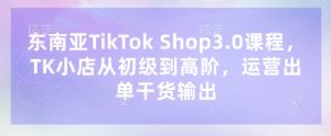 东南亚TikTok Shop3.0课程,TK小店从初级到高阶,运营出单干货输出-阳知网创资源库