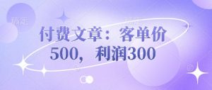付费文章:客单价500,利润300-阳知网创资源库