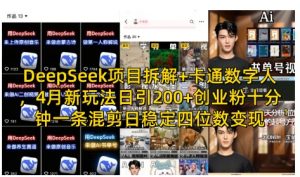 DeepSeek项目拆解+卡通数字人，4月新玩法日引200+创业粉十分钟一条混剪日稳定四位数变现-阳知网创资源库