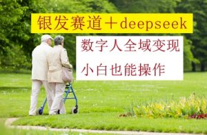 银发赛道+deepseek数字人全域变现，小白也能操作-阳知网创资源库