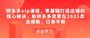 拼多多vip课程,零基础打造店铺的核心秘诀,助拼多多卖家在2025卖出爆款,订单不断-阳知网创资源库