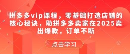 拼多多vip课程,零基础打造店铺的核心秘诀,助拼多多卖家在2025卖出爆款,订单不断-阳知网创资源库