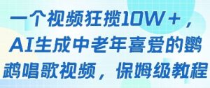 一个视频狂揽10W+点赞，AI生成中老年喜爱的鹦鹉唱歌视频，保姆级教程，轻松挣取创作者分成-阳知网创资源库