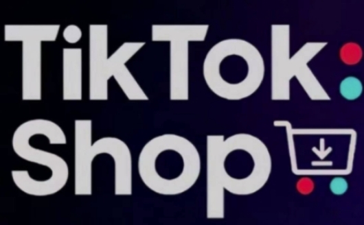 TikTokShop跨境电商0-1实战，手把手教你低成本启动海外市场（更新）-阳知网创资源库