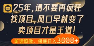 什么?25年你还在疯狂找项目做,醒醒吧,看完这些你全都懂了【揭秘】-阳知网创资源库