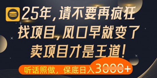什么?25年你还在疯狂找项目做,醒醒吧,看完这些你全都懂了【揭秘】-阳知网创资源库