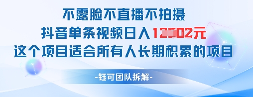 不露脸不直播不拍摄抖音单条视频日入1k+这个项目适合所有人长期积累的项目-阳知网创资源库
