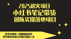 2025超火项目,副业最佳选择,小红书笔记带货团队实操落地项目,,轻松日入5张-阳知网创资源库