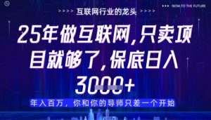 什么!25年你还在找项目做?风口早就变了,卖项目才是稳挣不赔【揭秘】-阳知网创资源库