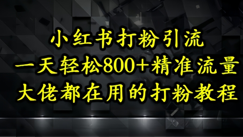 小红书打粉引流,一天轻松500+精准流量,大佬都在用的打粉教程-阳知网创资源库