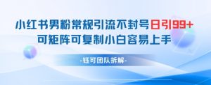 小红书男粉常规引流不封号日引99+变现简单 可矩阵可复制小白容易上手-阳知网创资源库