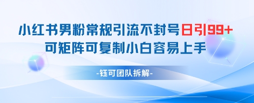 小红书男粉常规引流不封号日引99+变现简单 可矩阵可复制小白容易上手-阳知网创资源库