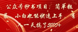 公众号抄书项目，简单粗暴，小白也能快速上手，有人一天搞了1k+-阳知网创资源库