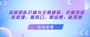 流量团队打造与生意破局,老板流量必修课,抓风口,拿结果,能落地-阳知网创资源库