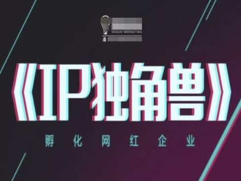 IP独角兽,孵化网红企业,ip教程-阳知网创资源库