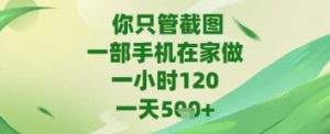 你只管截图,一部手机在家做,苹果安卓都可以,一天5张+【揭秘】-阳知网创资源库
