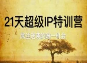 21天超级IP特训营,屌丝逆袭的唯一机会-阳知网创资源库