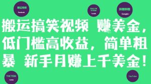 搬运搞笑视频挣美金,低门槛高收益,简单粗暴新手月入上千美刀-阳知网创资源库