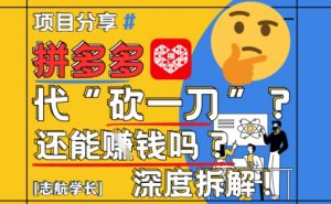 【2025最新】拼多多代坎助力项目深度拆解:还能挣钱吗?全流程玩法-阳知网创资源库