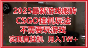 2025最新游戏搬砖,CSGO挂G,不需要玩游戏,实现真挂G,月入1W+【揭秘】-阳知网创资源库