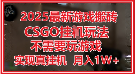 2025最新游戏搬砖,CSGO挂G,不需要玩游戏,实现真挂G,月入1W+【揭秘】-阳知网创资源库