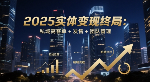 2025实体变现终局:私域高客单+发售+团队管理-阳知网创资源库