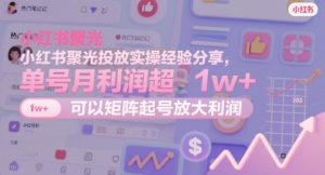 小红书聚光投放实操经验分享,单号月利润超1w+,可以矩阵起号放大利润-阳知网创资源库