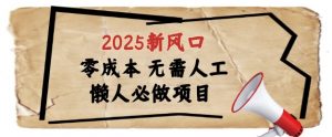 2025新风口，懒人必做项目，浏览器全自动掘金【揭秘】-阳知网创资源库