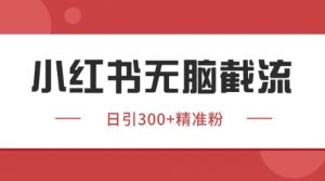 小红书只要你有同行就能获客，独家野路子获客玩法，暴力截流【揭秘】-阳知网创资源库